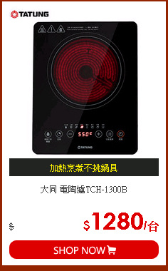 大同 電陶爐TCH-1300B