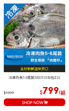 冷凍肉魚5-6尾裝500G±10%/包X10