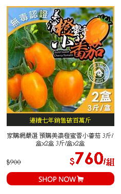 家購網嚴選 預購美濃橙蜜香小蕃茄 3斤/盒x2盒 3斤/盒x2盒