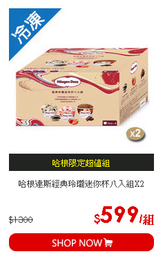 哈根達斯經典玲瓏迷你杯八入組X2