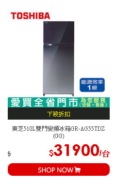 東芝510L雙門變頻冰箱GR-AG55TDZ(GG)