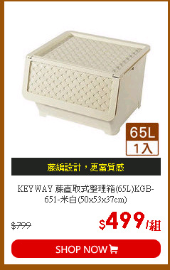 KEYWAY 藤直取式整理箱(65L)KGB-651-米白(50x53x37cm)
