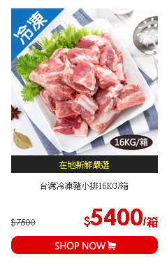 台灣冷凍豬小排16KG/箱