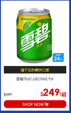 雪碧汽水CAN250ML*24