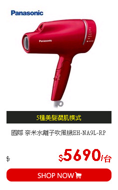 國際 奈米水離子吹風機EH-NA9L-RP