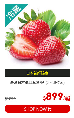 嚴選日本進口草莓/盒 (5～10粒裝)