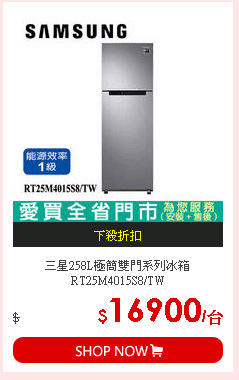 三星258L極簡雙門系列冰箱RT25M4015S8/TW